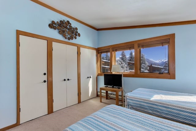 bedroom featuring light carpet, a baseboard radiator, lofted ceiling, and multiple closets