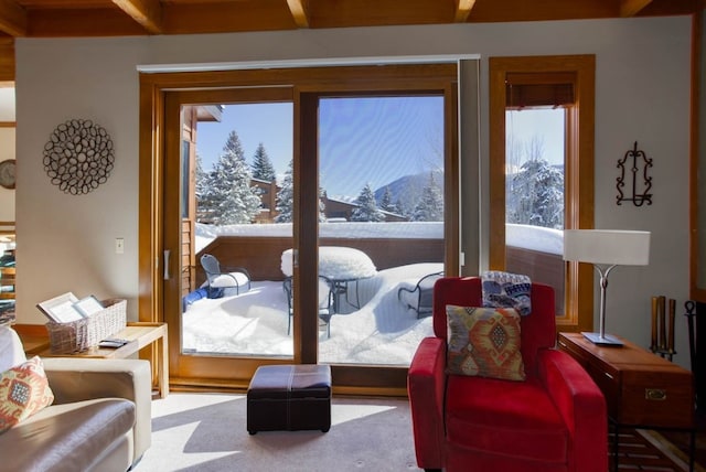 interior space with carpet floors, plenty of natural light, and a mountain view