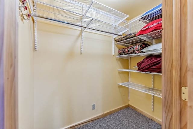 walk in closet featuring carpet