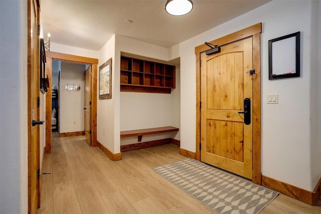 entrance foyer featuring light hardwood / wood-style flooring