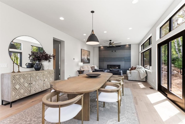 dining room featuring a fireplace, light hardwood / wood-style floors, and ceiling fan