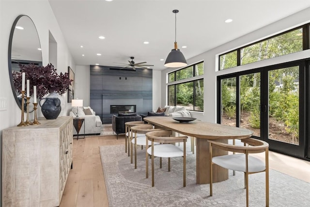 dining area with ceiling fan and light hardwood / wood-style floors