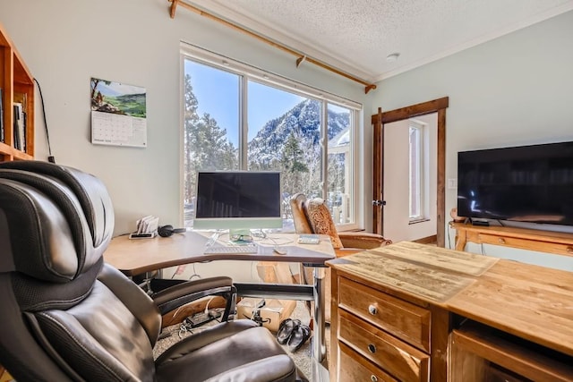 office featuring ornamental molding and a textured ceiling