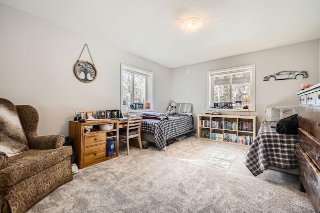 bedroom with multiple windows and carpet floors