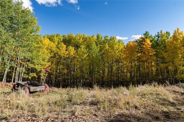 view of local wilderness