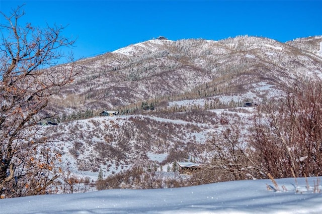 Listing photo 3 for 34315 Panorama Dr, Steamboat Springs CO 80487