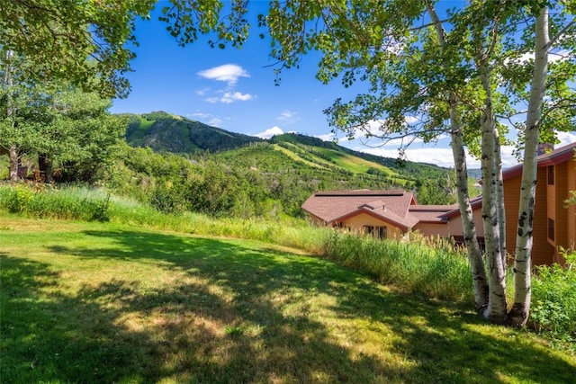 view of yard featuring a mountain view