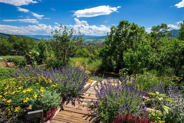 property view of mountains