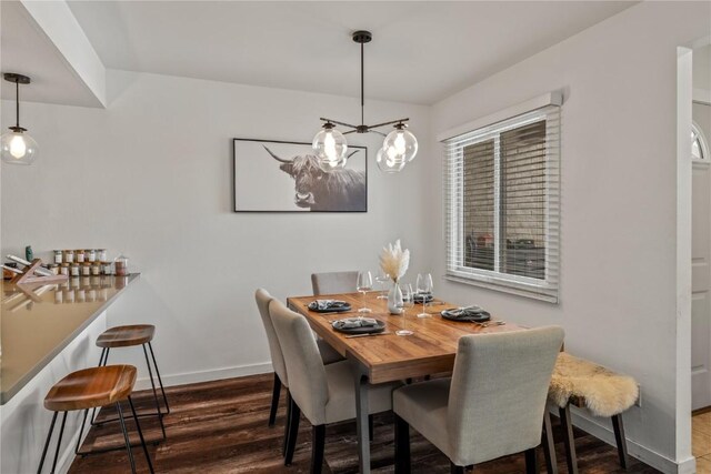 dining room with dark hardwood / wood-style flooring