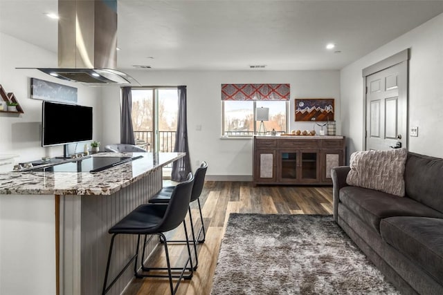 living area featuring dark wood-style floors, recessed lighting, visible vents, and baseboards