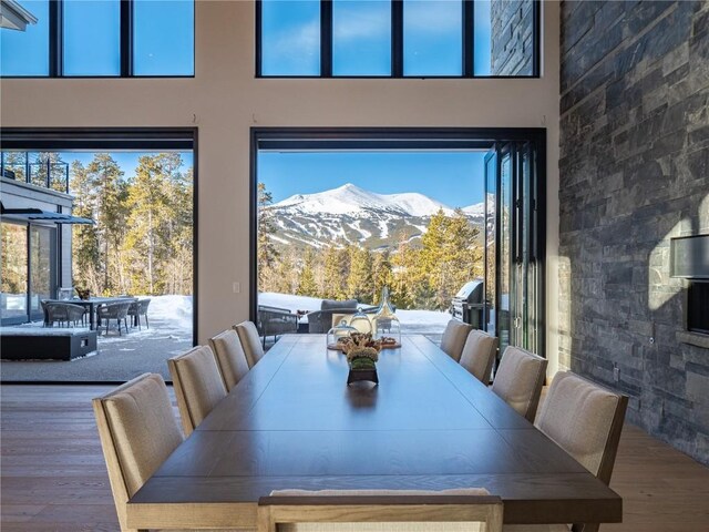 dining area featuring a mountain view, plenty of natural light, and hardwood / wood-style flooring