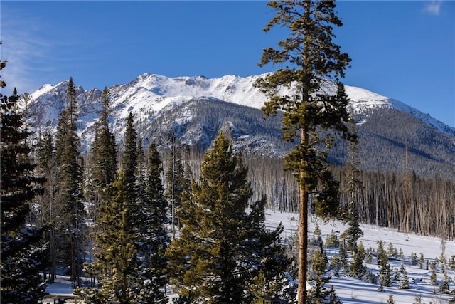 mountain view with a view of trees