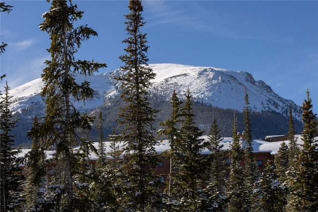 property view of mountains featuring a forest view