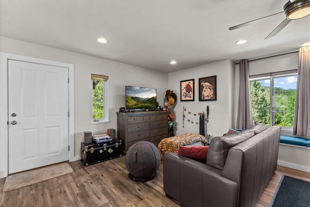 living room featuring ceiling fan and hardwood / wood-style floors