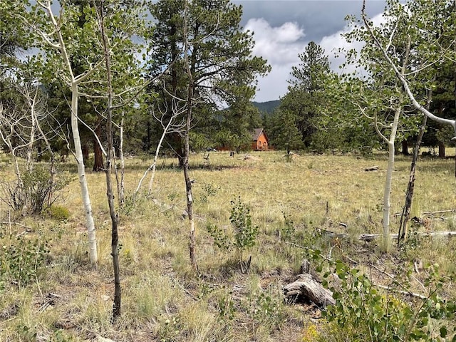 view of local wilderness