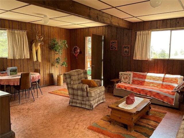 living room featuring carpet flooring and wooden walls