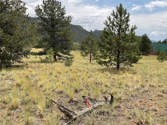 view of local wilderness featuring a mountain view