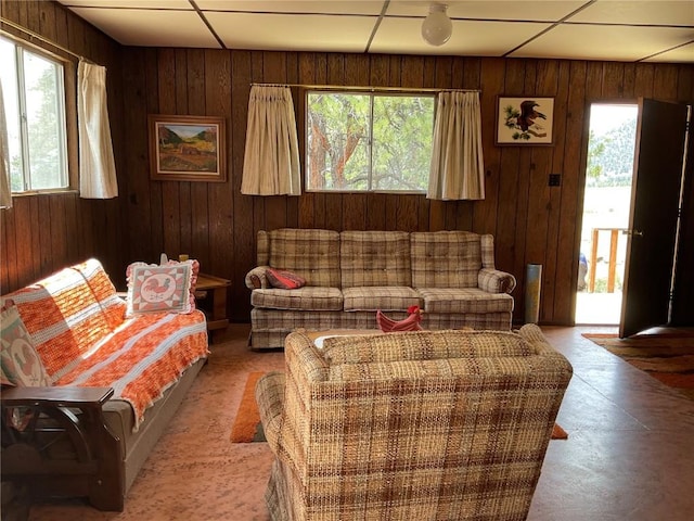 living room with a healthy amount of sunlight and wood walls