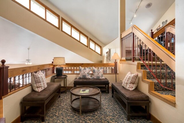 living area featuring ceiling fan, rail lighting, and high vaulted ceiling