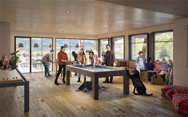 playroom with light wood-type flooring and pool table