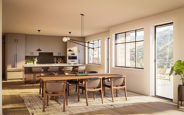 interior space with light hardwood / wood-style floors and sink