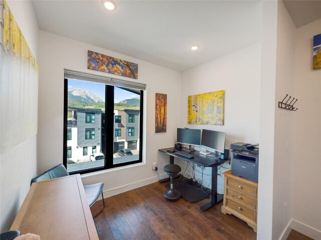 office featuring dark hardwood / wood-style floors