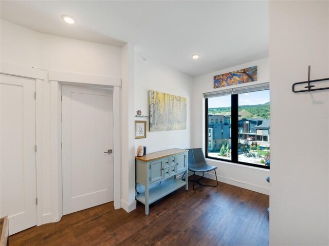 interior space with dark hardwood / wood-style flooring