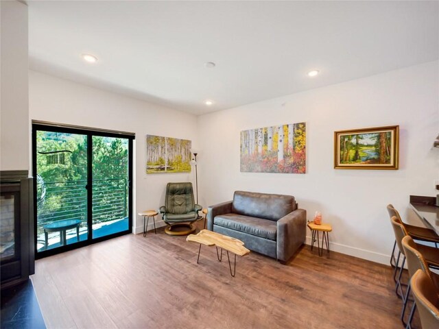 living room featuring hardwood / wood-style floors