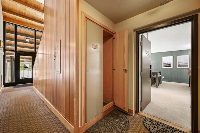 hall featuring wood walls, carpet, and baseboards