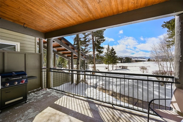 snow covered deck with area for grilling