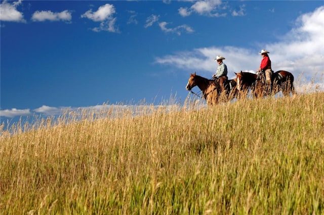 Listing photo 2 for 27150 Cowboy Up Rd, Steamboat Springs CO 80487