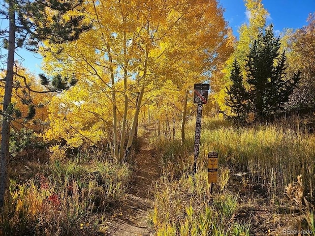 view of local wilderness