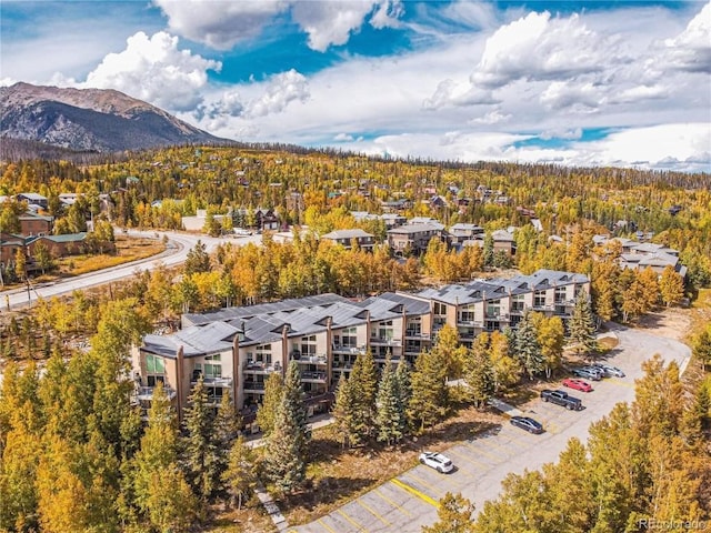 birds eye view of property featuring a mountain view