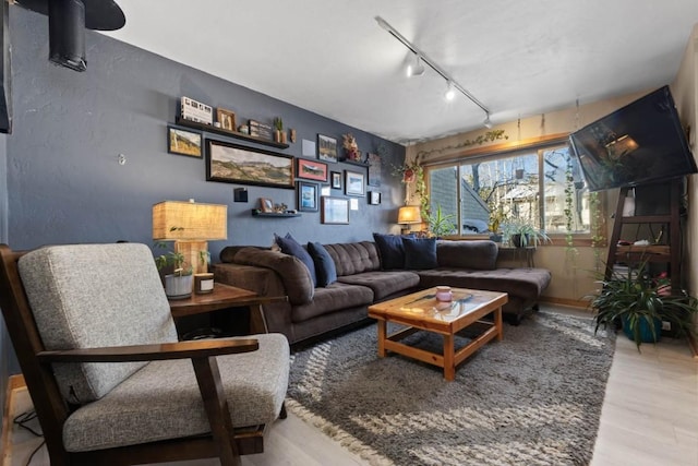 living room featuring hardwood / wood-style flooring and rail lighting