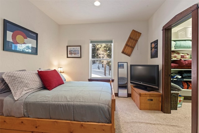 bedroom with carpet