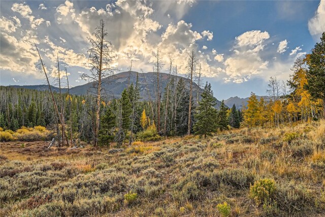 view of mountain feature