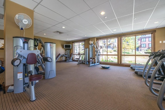 workout area with carpet, plenty of natural light, and a drop ceiling