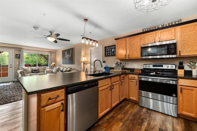 kitchen featuring kitchen peninsula, appliances with stainless steel finishes, dark hardwood / wood-style floors, and sink