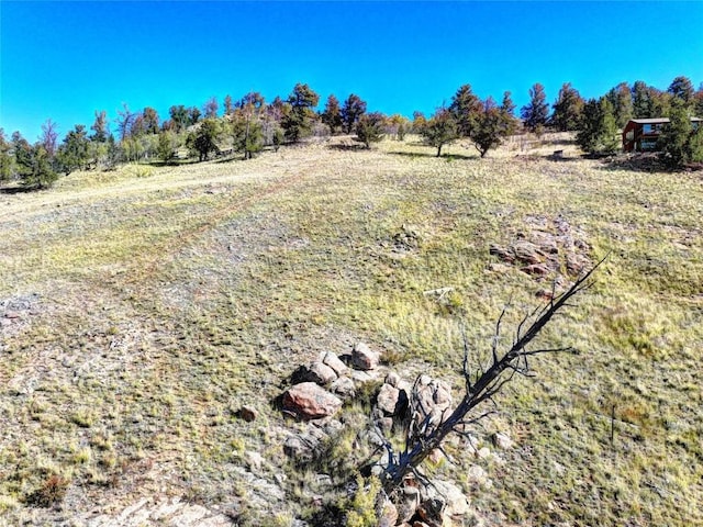 Listing photo 3 for 343 Chief Trl, Como CO 80432