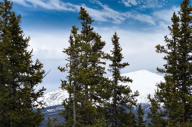 view of nature with a mountain view