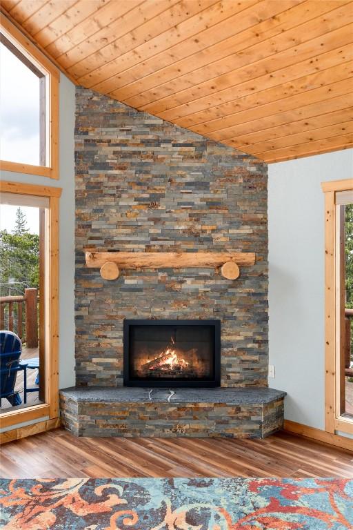 details with a stone fireplace and hardwood / wood-style flooring