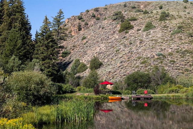 view of mountain feature with a water view