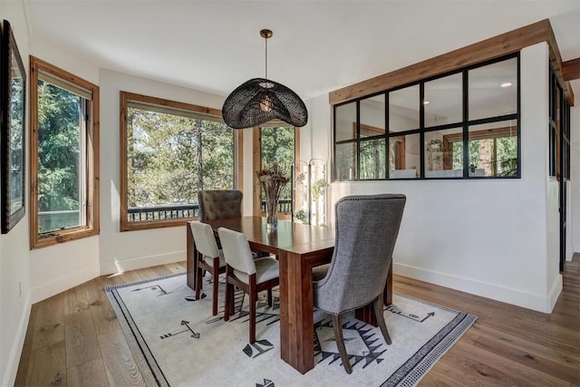 dining room featuring light wood-style floors, a healthy amount of sunlight, and baseboards