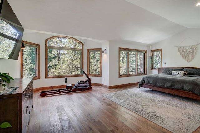 bedroom with lofted ceiling, wood-type flooring, and baseboards