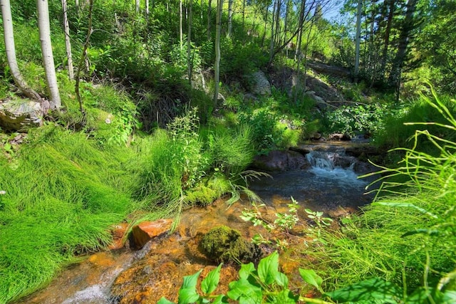 view of nature featuring a forest view