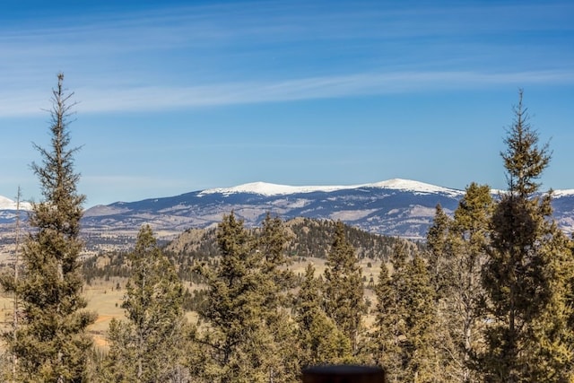 view of mountain feature