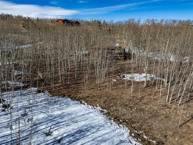 view of snow covered land