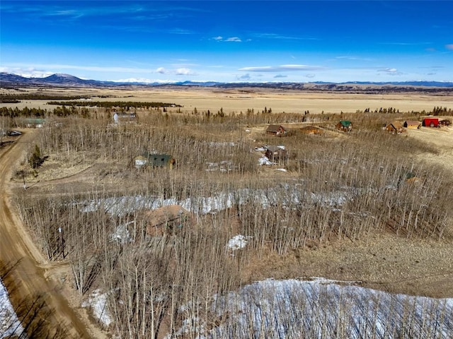 birds eye view of property with a mountain view and a rural view