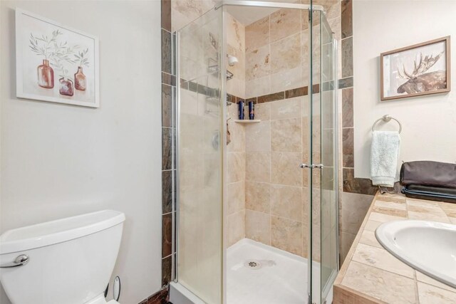 bathroom featuring vanity, toilet, and walk in shower