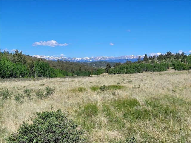 293 W Longbow Dr, Como CO, 80432 land for sale